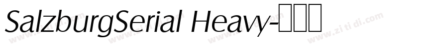 SalzburgSerial Heavy字体转换